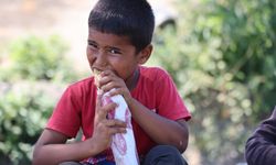 Duydunuz mu? Bugün Dünya Kebap Günü