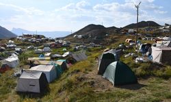 Binlerce kişi kuzu kırkma festivali için buluştu