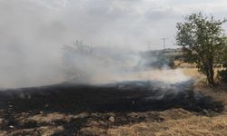 Diyarbakır Lice’de iki günde üçüncü yangın