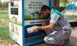 Diyarbakır’ın kavurucu sıcağında sokak hayvanları unutulmadı