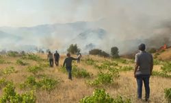 Çanakkale orman yangını