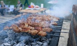 Bir ilde daha mangal yakmak yasaklandı