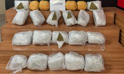 25 kilogram skunk ele geçirildi