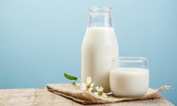 Mayısta inek sütü üretimi miktarı azaldı