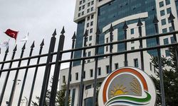 Bakanlıktan yapay et ve hayvan pazarı iddialarına yanıt