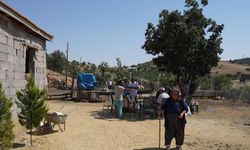 210 hayvanı telef olan besici gözyaşlarını tutamadı
