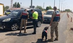 Van’da aranan 20 kişi tutuklandı