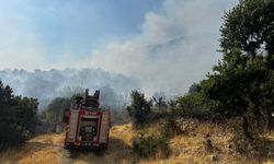 Lice'deki yangın 10 saat sonra söndürüldü