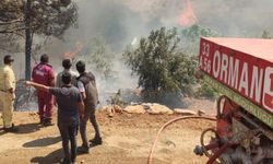 4 ildeki 5 orman yangını kontrol altında