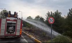 Diyarbakır Dicle Üniversitesi kampüsünde yangın
