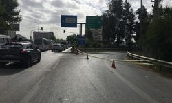 Yangın nedeniyle Aydın-İzmir Otoyolu trafiğe kapatıldı