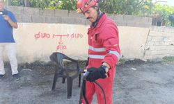 Evin bahçesine giren yılan girdi