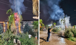 Mardin’de palmiye ağacı gece yarısı ateşe verildi