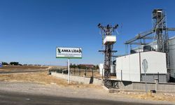 Diyarbakır’da 970 tonluk mısır vurgunu iddiası: Çiftçi 40 milyon lira zararda