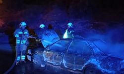 Hatay'da 2 farklı noktada çıkan yangında 2 araç yandı