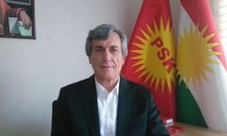 Bozyel: "PKK silah bırakıyor ama Kürt meselesi çözülmüş değil"