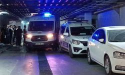 Tartıştığı arkadaşını vurup sonra intihar etti
