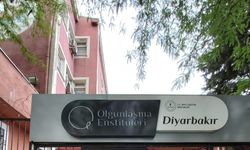 Diyarbakır Olgunlaşma Enstitüsü 45 usta öğretici alımı yapacak