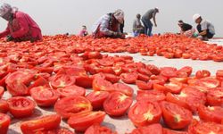 Diyarbakır’da tarım işçilerinin hayat mücadelesi