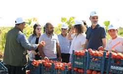 Eş Başkan Dündar’dan tarım işçilerine ziyaret