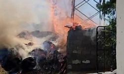 Kopan elektrik kablosu odunluğu yaktı