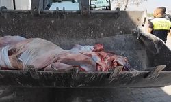 Şanlıurfa’da 252 kilogram et imha edildi