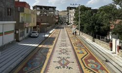 Halı desenli yola 11 milyon 368 bin TL harcandı