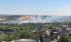 Diyarbakır’ın tarihi Hevsel Bahçelerinde korkutan yangın