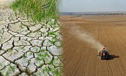 Diyarbakır’da 1,5 milyon dönüm arazi kuraklıktan etkilendi