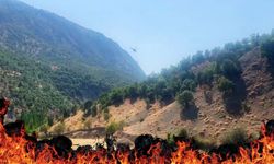 Diyarbakır Lice'de ilginç yangın; Uyuşturucu imhası yangına neden oldu