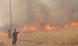 Şırnak’ta orman yanıyor