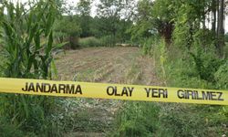 Tarlada insan kafatası ve kemikleri bulundu