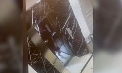 Kaybolan Rus yüzücünün otel görüntüleri ortaya çıktı