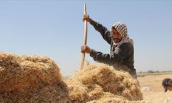 Diyarbakır’da ekmek parası uğruna zorlu mesai