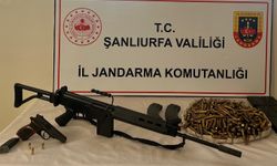 Şanlıurfa’da ruhsatsız silah operasyonu