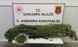 Şanlıurfa’da uyuşturucu operasyonu: Gözaltılar var