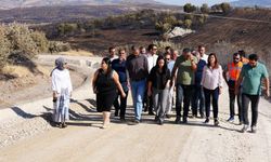 Diyarbakır Eşbaşkanı bucak Lice’deki yol çalışmalarını inceledi