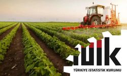 Tarım üretici enflasyonu aylık bazda düştü