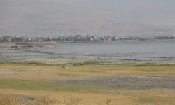 Van Gölü'ndeki kirlilik uydu görüntülerine yansıdı