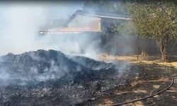 Diyarbakır Lice’de yangın yerleşim yerlerine ulaştı