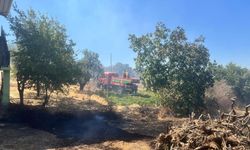 Diyarbakır'da 2 kırsal mahallede orman yangını: Müdahale sürüyor