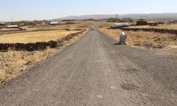 Diyarbakır’da 3 kilometrelik yol çilesi