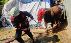 Malatya'da ahır yangını panik yarattı