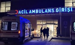 Tavuk döner ve pilav 106 kişiyi hastanelik etti