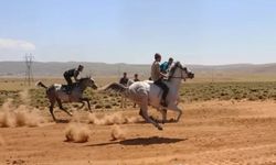 Bingöl’de at yarışları için geri sayım başladı