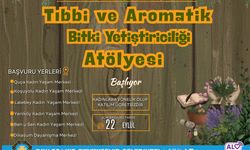 Diyarbakır’da kadınlar, doğanın şifalı bitkilerini atölyede keşfedecek