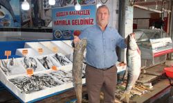 Batman’da balık tezgâhlarında ilk hareketlilik