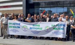 Diyarbakır’da DEM Parti’den “Barış İstiyoruz” kampanyası