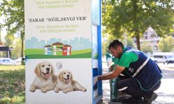 Diyarbakır’da sokak hayvanlarına yaz boyu destek