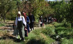 Diyarbakır’da Hevsel Bahçeleri’nde sağlıklı yaşam için yürüyüş
